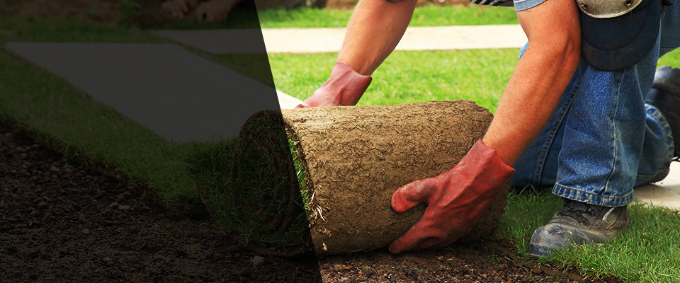 Blytheville Landscapers